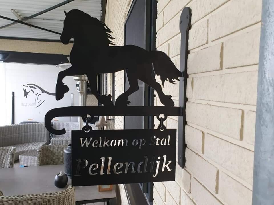 Luxe Gastenkamer Met Living En Keuken Bij Friezen Paarden Stal Pellendijk Westendorp Exterior foto