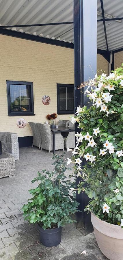 Luxe Gastenkamer Met Living En Keuken Bij Friezen Paarden Stal Pellendijk Westendorp Exterior foto