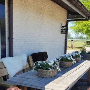 Luxe Gastenkamer Met Living En Keuken Bij Friezen Paarden Stal Pellendijk Westendorp Exterior foto